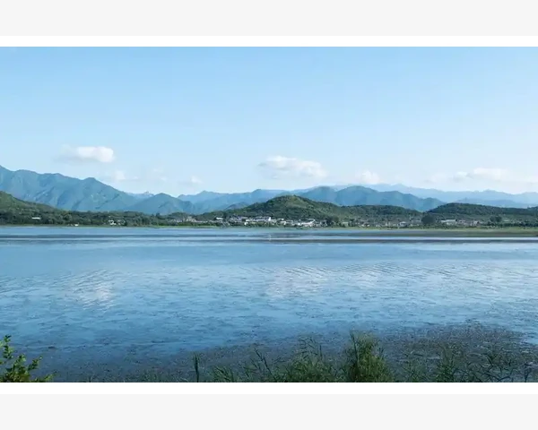 坏账损失会计分录的实务处理要点