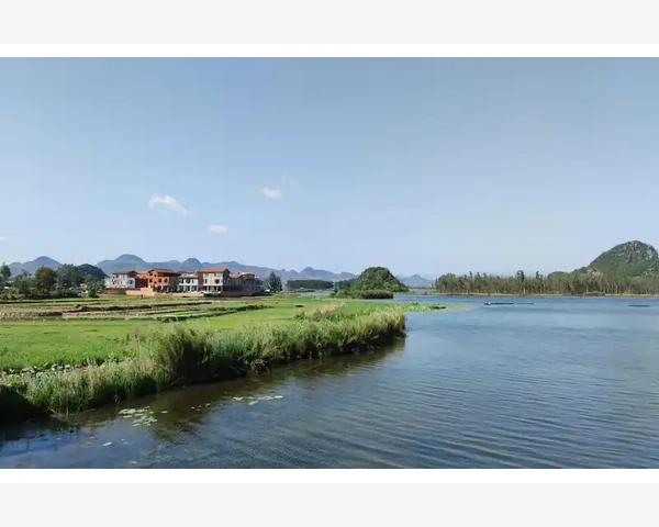 中医养生秘籍：解析几种补血效果较好的中药材